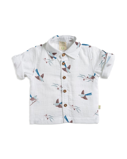 Tiny Twig Blue Cambric Shirt-Organic Cotton-For Infants