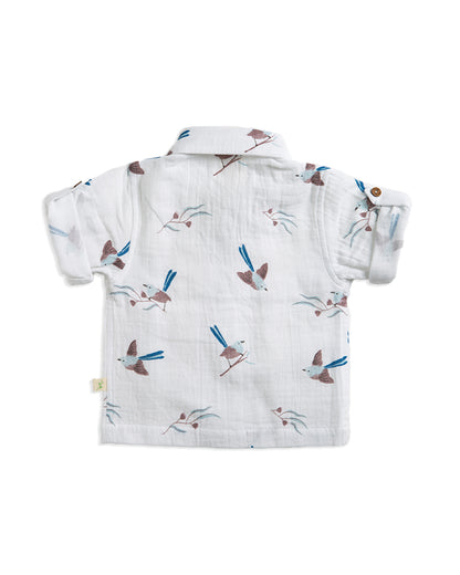 Tiny Twig Blue Cambric Shirt-Organic Cotton-For Infants