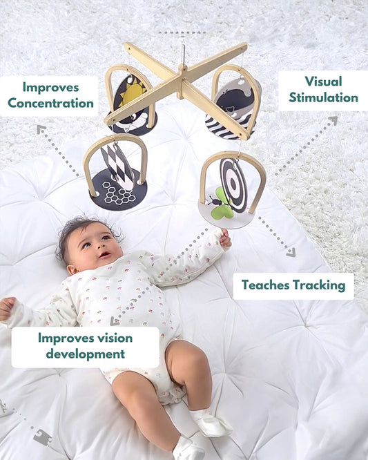 Curious Cub Montessori Box-0M+-Pack of 9 Montessori Toys-Encourages Baby’s Development-Learning & Educational Wooden Toys-Gift Set