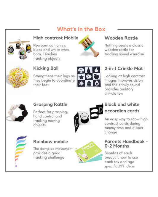 Curious Cub Montessori Box-0M+-Pack of 9 Montessori Toys-Encourages Baby’s Development-Learning & Educational Wooden Toys-Gift Set