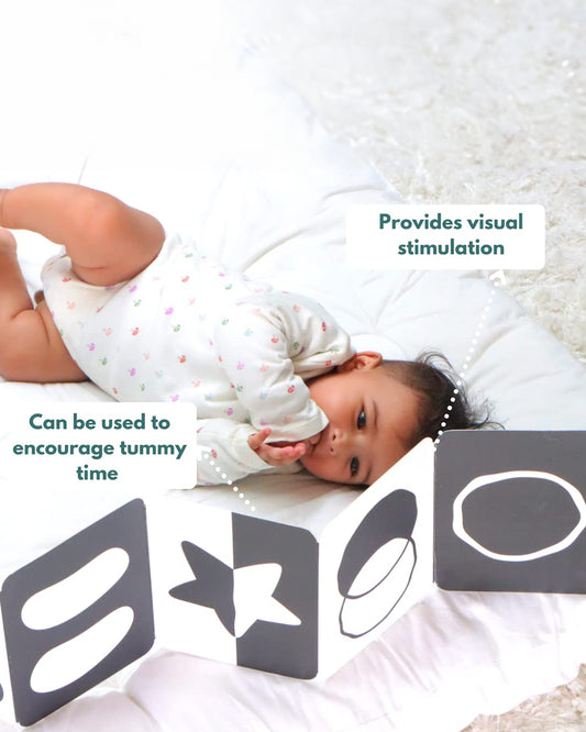 Curious Cub Montessori Box-0M+-Pack of 9 Montessori Toys-Encourages Baby’s Development-Learning & Educational Wooden Toys-Gift Set