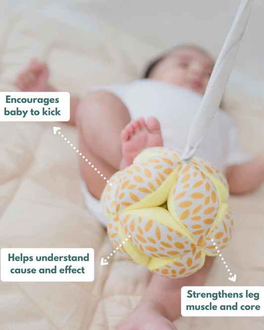 Curious Cub Montessori Box-0M+-Pack of 9 Montessori Toys-Encourages Baby’s Development-Learning & Educational Wooden Toys-Gift Set