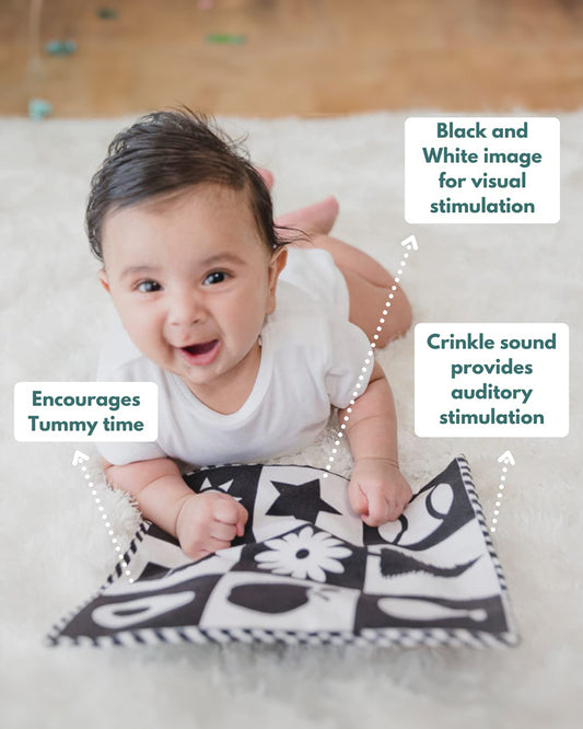 Curious Cub Montessori Box-0M+-Pack of 9 Montessori Toys-Encourages Baby’s Development-Learning & Educational Wooden Toys-Gift Set