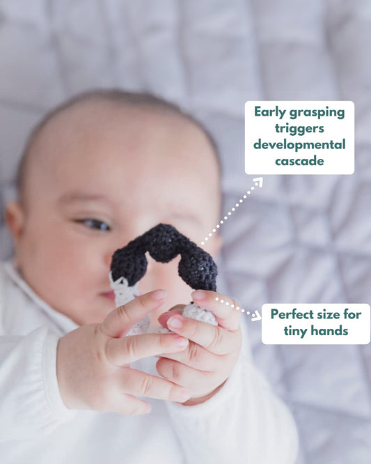 Curious Cub Montessori Box-0M+-Pack of 9 Montessori Toys-Encourages Baby’s Development-Learning & Educational Wooden Toys-Gift Set