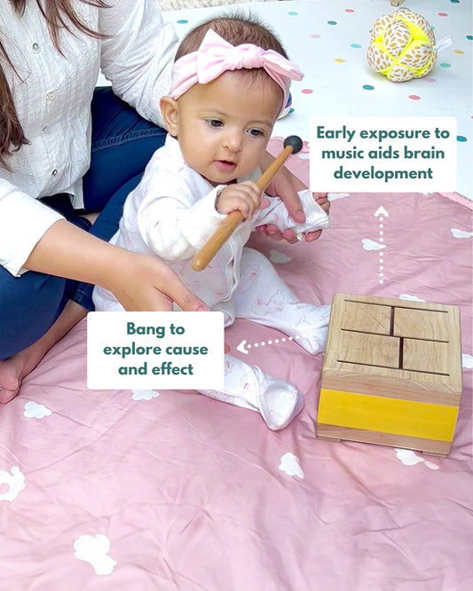 Curious Cub Montessori Box-5M+-Pack of 9 Montessori Toys-Encourages Baby’s Development-Learning & Educational Wooden Toys-Gift Set