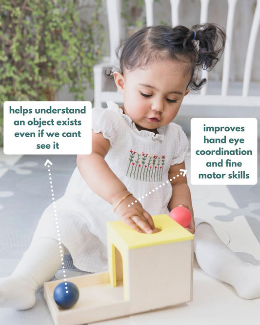 Curious Cub Montessori Box-7M+-Pack of 9 Montessori Toys-Encourages Baby’s Development-Learning & Educational Wooden Toys-Gift Set