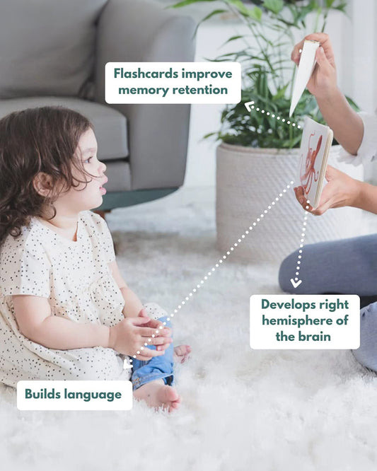 Curious Cub Montessori Box-13M+-Pack of 9 Montessori Toys-Encourages Baby’s Development-Learning & Educational Wooden Toys-Gift Set