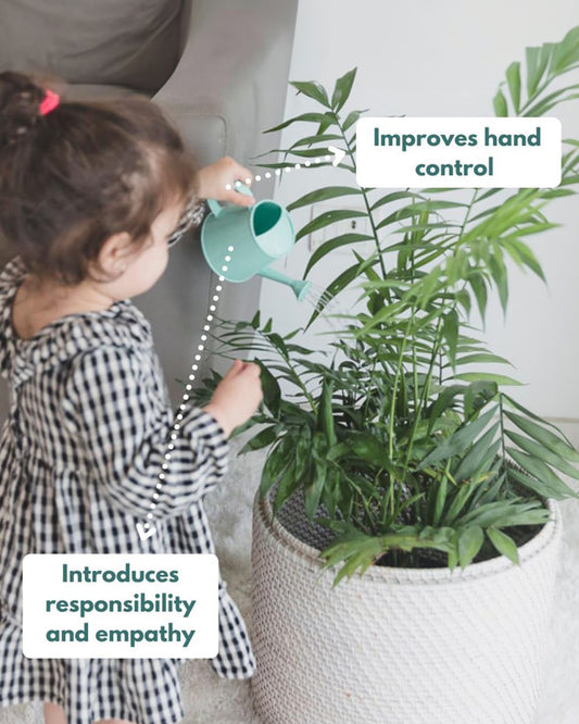 Curious Cub Montessori Box-16M+-Pack of 9 Montessori Toys-Encourages Baby’s Development-Learning & Educational Wooden Toys-Gift Set