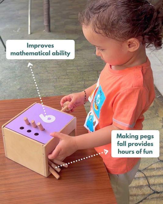 Curious Cub Montessori Box-24M+-Pack of 9 Montessori Toys-Encourages Baby’s Development-Learning & Educational Wooden Toys-Gift Set