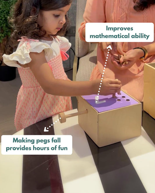 Curious Cub Montessori Box-24M+-Pack of 9 Montessori Toys-Encourages Baby’s Development-Learning & Educational Wooden Toys-Gift Set