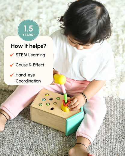 Curious Cub Magnetic Bird Feeder-Shape Sorter & Stacker-Learning & Educational Toys-12M+