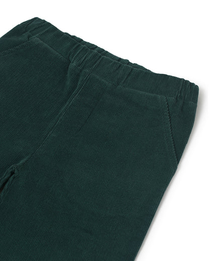 Mi Arcus Misty Green Pants-Solid-Cotton-For Infants