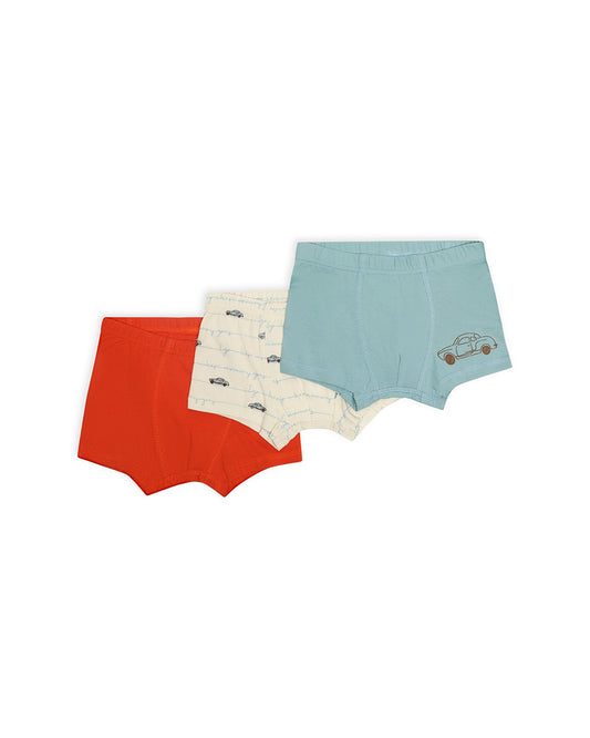 Mi Arcus Multicolor Briefs-Multiprinted-Cotton-Pack of 3-For Infants