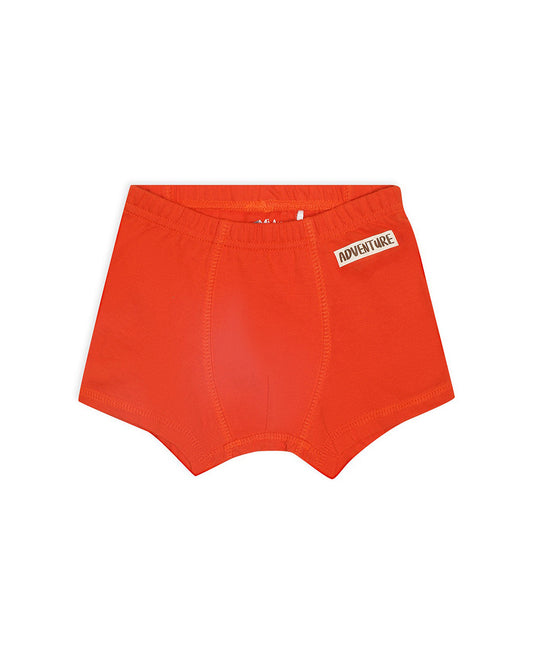 Mi Arcus Multicolor Briefs-Multiprinted-Cotton-Pack of 3-For Infants