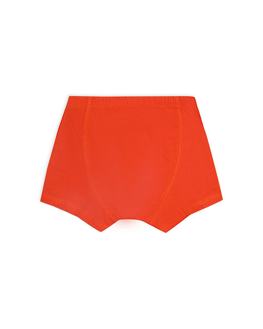 Mi Arcus Multicolor Briefs-Multiprinted-Cotton-Pack of 3-For Infants