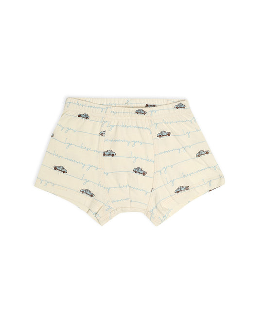 Mi Arcus Multicolor Briefs-Multiprinted-Cotton-Pack of 3-For Infants