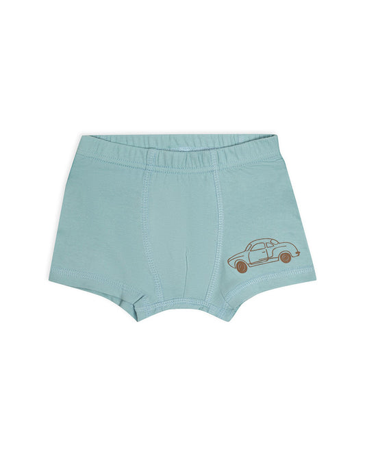 Mi Arcus Multicolor Briefs-Multiprinted-Cotton-Pack of 3-For Infants