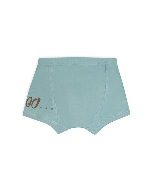 Mi Arcus Multicolor Briefs-Multiprinted-Cotton-Pack of 3-For Infants