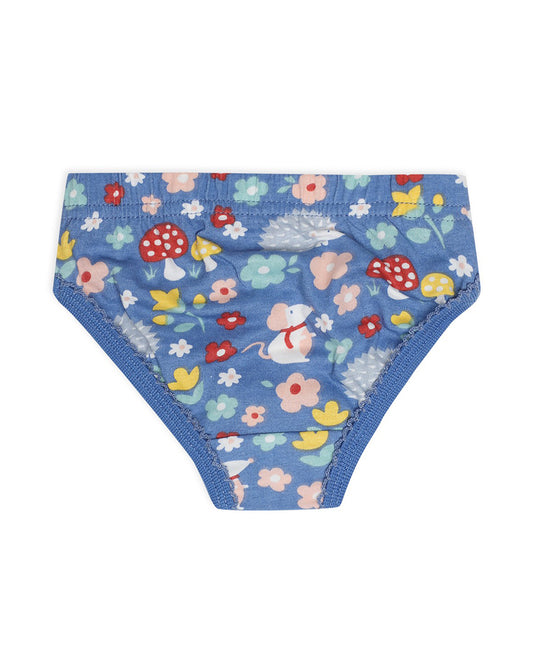 Mi Arcus Multicoloured Panties-Printed-Cotton-Pack of 3-For Infants
