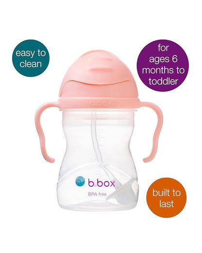 b.box Any Angle Weighted Straw Sippy Cup-With Flip Top Lid-Tutti Frutti Pink