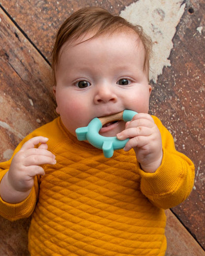 Little Rawr Blue Bear 100% Organic Oak Wood-Silicone Ring Teether-Soft on Gums-4M+