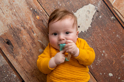 Little Rawr Blue Bear 100% Organic Oak Wood-Silicone Ring Teether-Soft on Gums-4M+