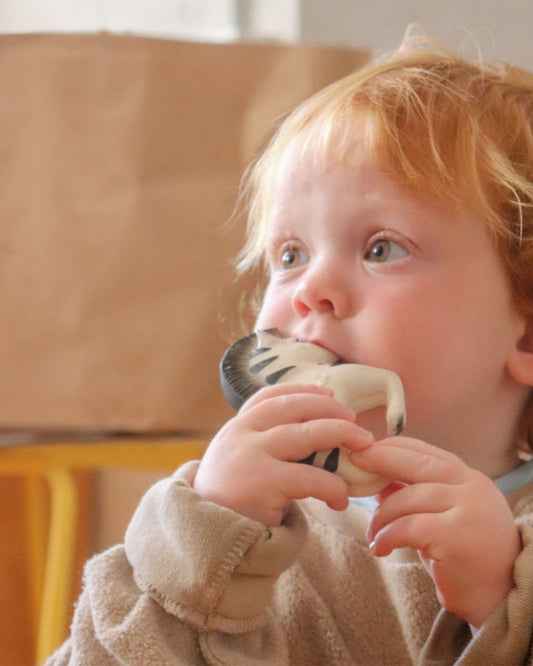 Oli & Carol Zoe The Zebra-Natural Rubber Bracelet Teether-Soft & Flexible-0M+