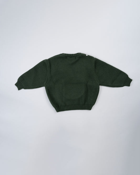 Baby Boo Green Kimberly Winter Wear Sweatshirt-Printed-Knitted Wool-For Infants