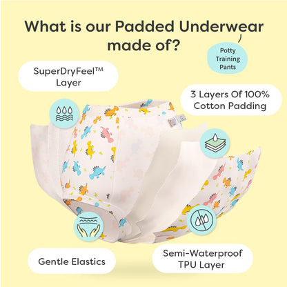 SuperBottoms Explorer Cloth Diapers-Padded Underwear-100% Cotton-Washable & Reusable-Pack of 6