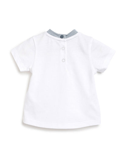 Chicco Medium Light Blue T-shirt and Shorts-Printed-Cotton-For Infants