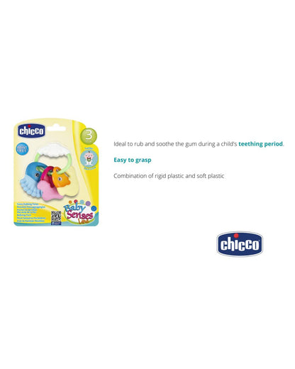 Chicco Gums Rubbing Fishes Rattle Teether-Multi Textured & Easy to Grasp