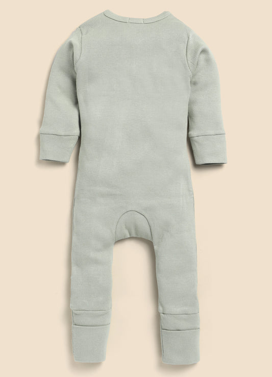 Cot & Candy Baby Milk & Sage Zipsuits-Solid-Organic Cotton-Pack of 2-For Infants