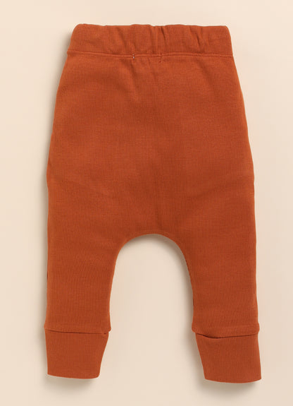 Cot & Candy Baby Brown & White Trousers-Solid-Organic Cotton-Pack of 2-For Infants