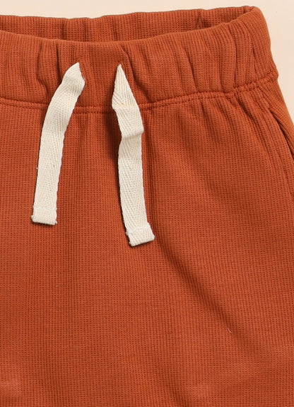 Cot & Candy Baby Brown & White Trousers-Solid-Organic Cotton-Pack of 2-For Infants