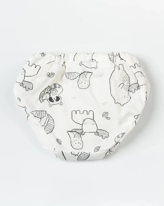 BeeLittle Muticolor Briefs-Adventure Ready-Organic Cotton-Pack of 5-For Infants