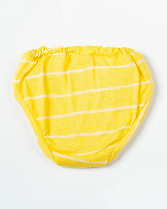 BeeLittle Muticolor Briefs-Adventure Ready-Organic Cotton-Pack of 5-For Infants