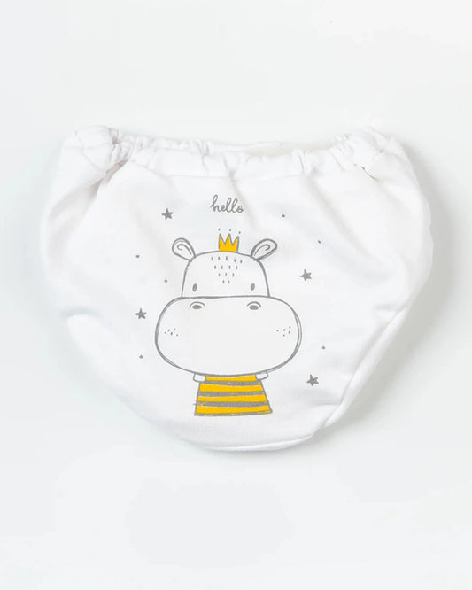 BeeLittle Muticolor Briefs-Adventure Ready-Organic Cotton-Pack of 5-For Infants