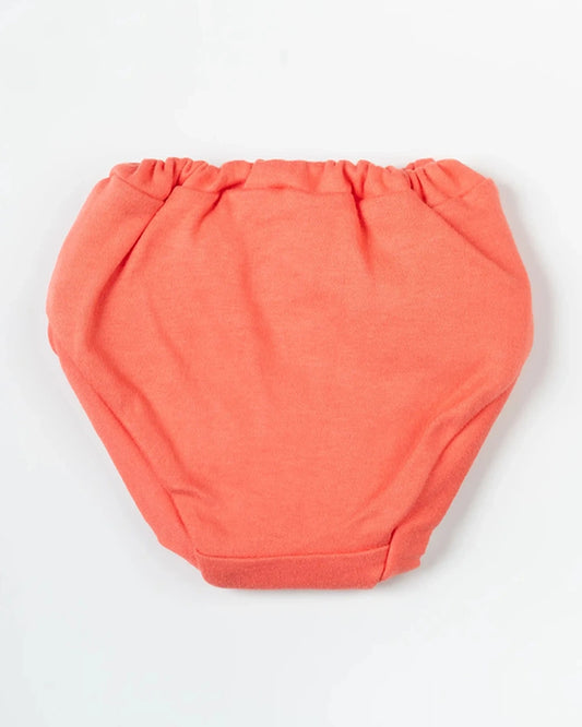 BeeLittle Muticolor Briefs-Adventure Ready-Organic Cotton-Pack of 5-For Infants