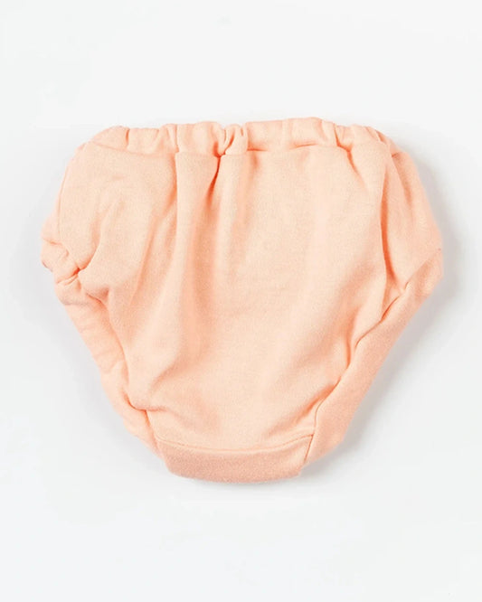 BeeLittle Muticolor Briefs-Beautiful You-Organic Cotton-Pack of 5-For Infants