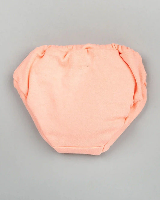 BeeLittle Multicolor Briefs-Fairy World-Organic Cotton-Pack of 3-For Infants