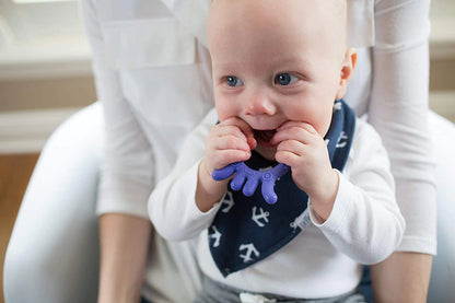 Dr. Brown's Flexees Friends Teether-Octopus