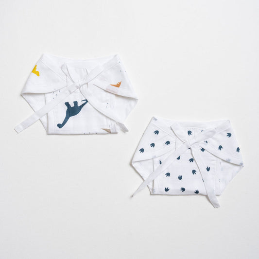 Aariro Little Dino Cloth Nappy Combo-100% Organic Cotton-Washable & Reusable-Pack of 2