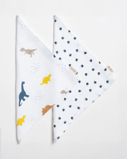 Aariro Organic Cotton Muslin Burp Cloth & Wash Cloths Combo Set-Little Dino-For Infants