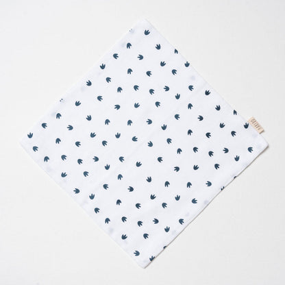 Aariro Organic Cotton Muslin Burp Cloth & Wash Cloths Combo Set-Little Dino-For Infants