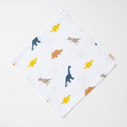 Aariro Organic Cotton Muslin Burp Cloth & Wash Cloths Combo Set-Little Dino-For Infants