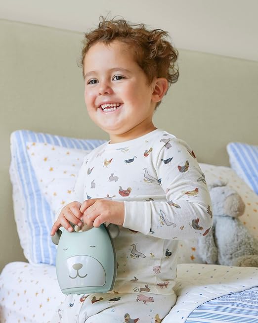 Skip Hop Beary Cute Take-Along Sleep Trainer & Nightlight-Toddlers Bedtime Bestie-For a Calm Sleep-Grey & Green-2 Years+