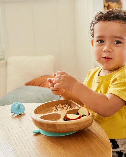 Munchkin Bambou Divided Suction Plate-Strong Suction Base-Non Toxic-For Feeding Infants