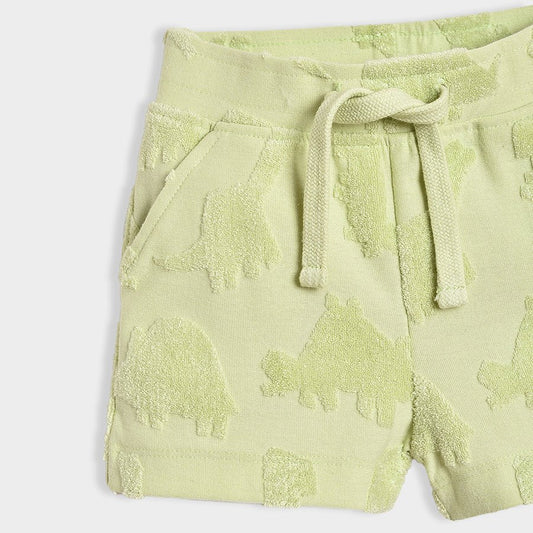 Mi Arcus Seafoam Green Coord Set-Dinomite-Cotton-For Infants