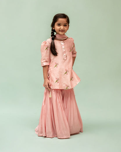 Mimosa Peach Sharara Set-Embroidered-Chanderi-For Infants