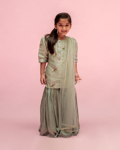 Mimosa Pastel Green Sharara Set-Embroidered-Chanderi-For Infants